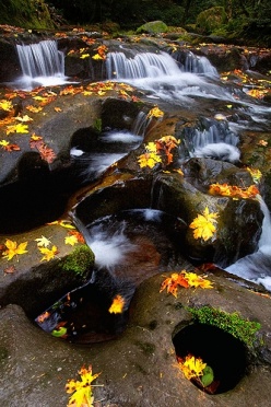 Small Cascades in Fall