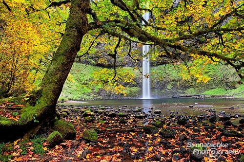 South Falls - Silver Falls SP
