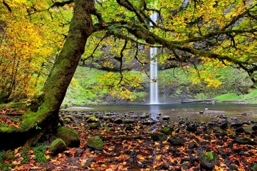 South Falls - Silver Falls SP