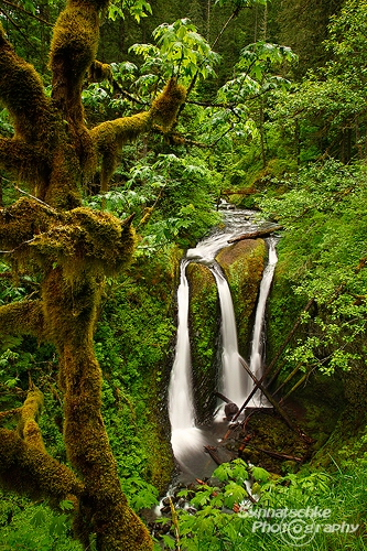 Triple Falls - Columbia River Gorge