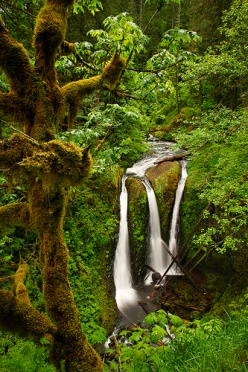 Triple Falls - Columbia River Gorge