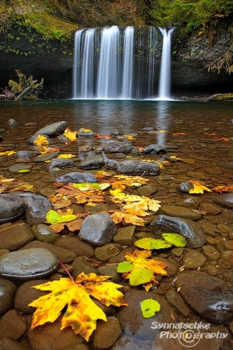 Upper Butte Creek Falls