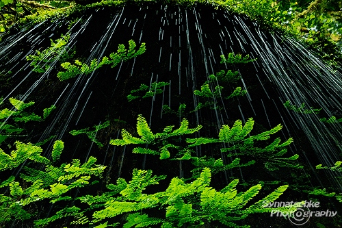 Weeping Wall