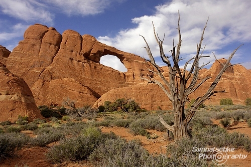 Skyline Arch