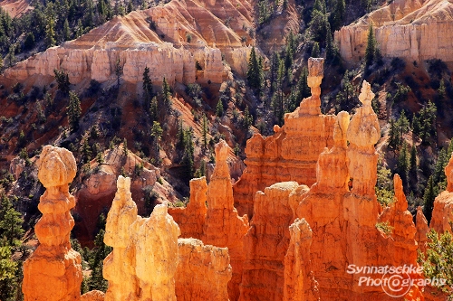 Bryce Canyon 04