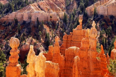 Bryce Canyon 04