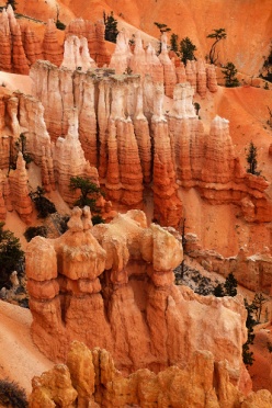 Bryce Canyon 08