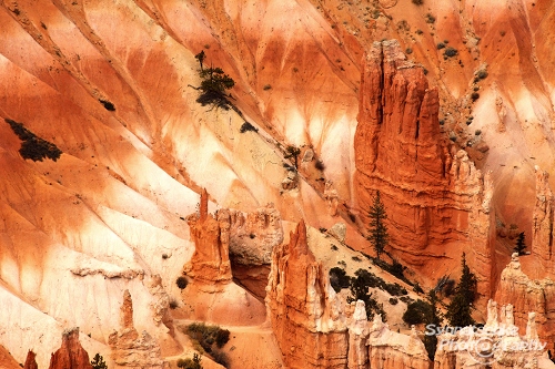 Bryce Canyon 12