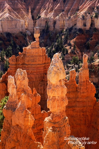 Bryce Canyon 13