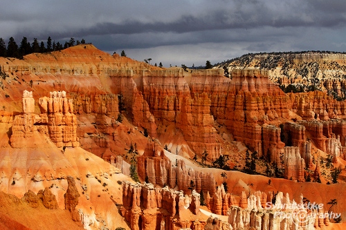 Bryce Canyon 17