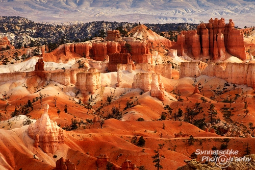 Bryce Canyon 20