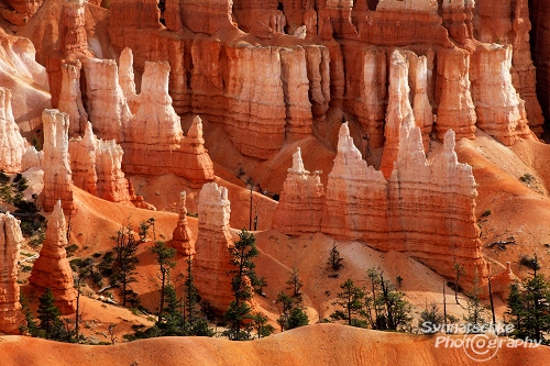 Bryce Canyon 22