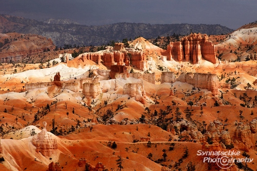 Bryce Canyon 27