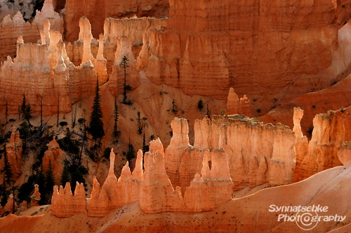 Bryce Canyon Hoodoos