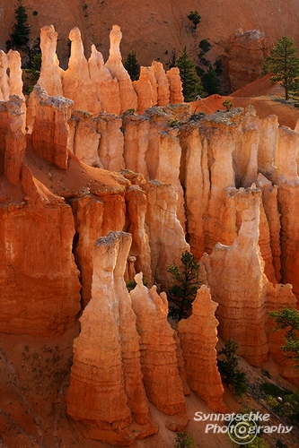 Bryce Pinnacles