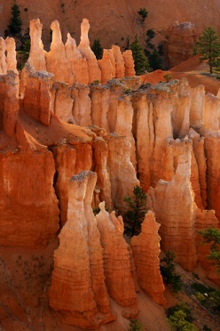 Bryce Pinnacles