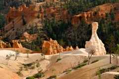 The White Hoodoo