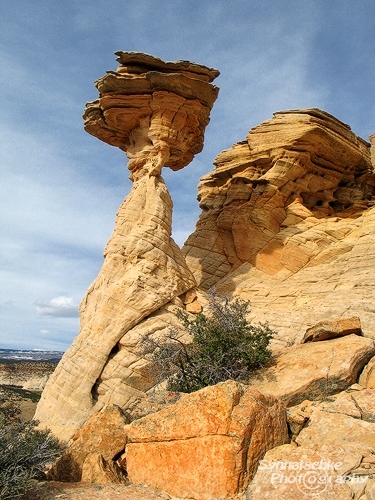Boulder Hoodoo