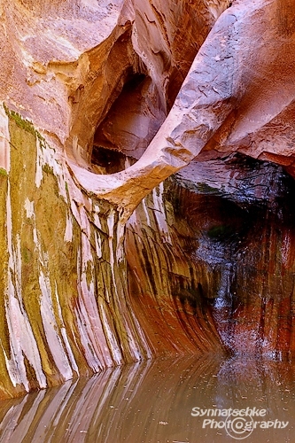 Hanging Arch