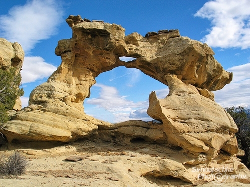 Horizon Arch