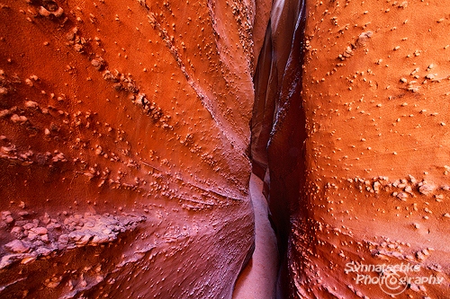 Spooky Gulch Narrows