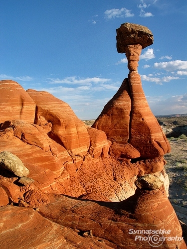 Toadstool Hoodoo