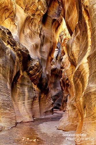 Willis Creek Narrows