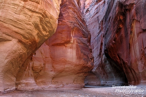 Paria Canyon