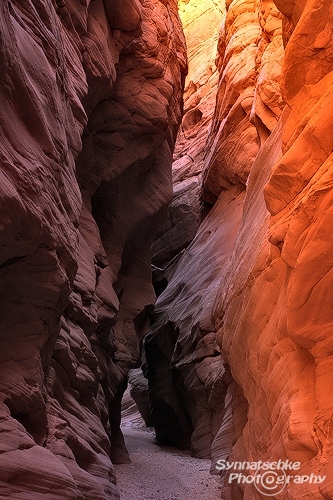 Red Canyon