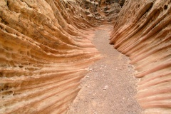 Little Wild Horse Canyon