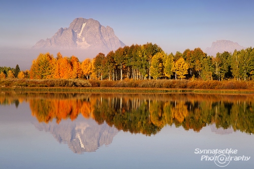 Oxbow Bend Reflection in Fall