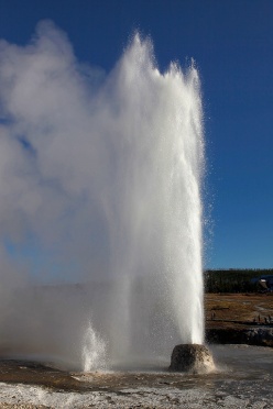 Beehive Geyser Eruption