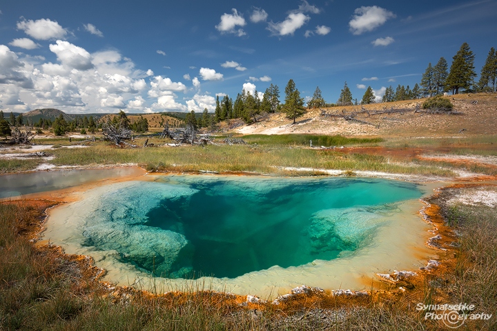 Deep Turquoise Pool