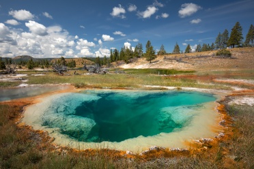 Deep Turquoise Pool