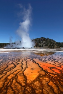 Excelsior Geyser