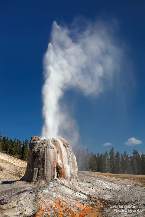 Lone Star Geyser