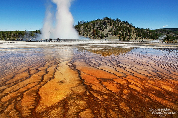 Midway Geyser Basin Patterns