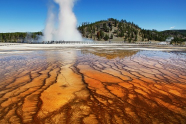 Midway Geyser Basin Patterns
