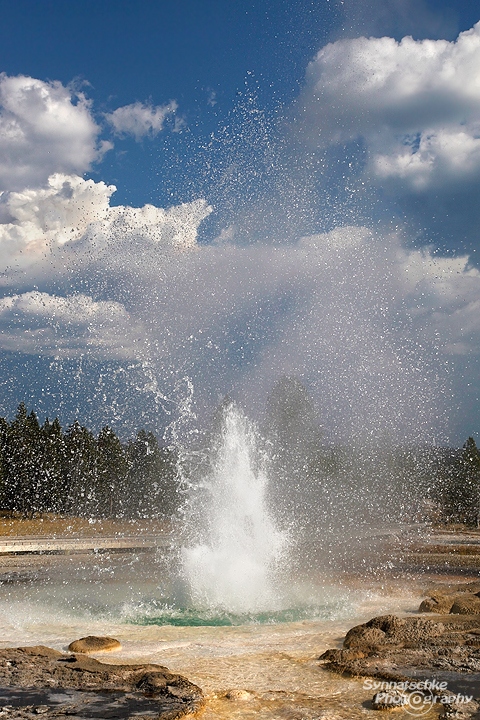 Saw Mill Geyser