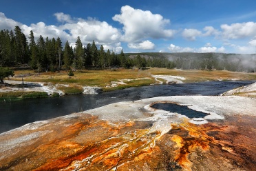 south-scalloped-spring