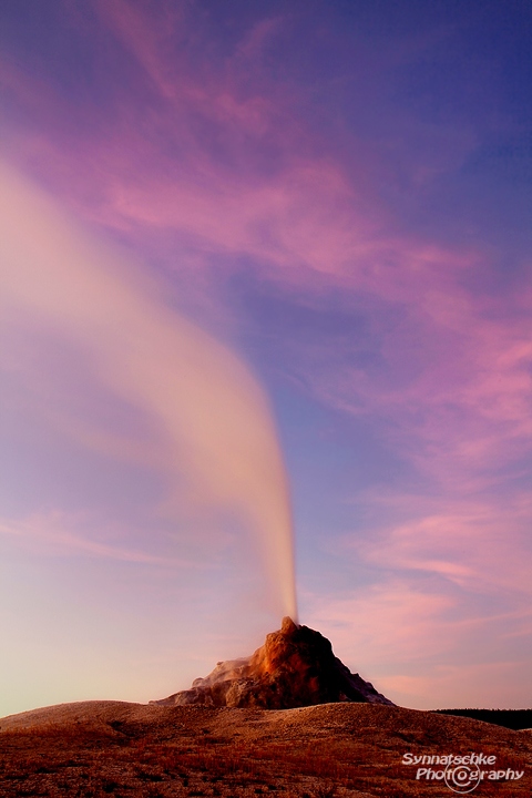 White Dome Geyser Eruption